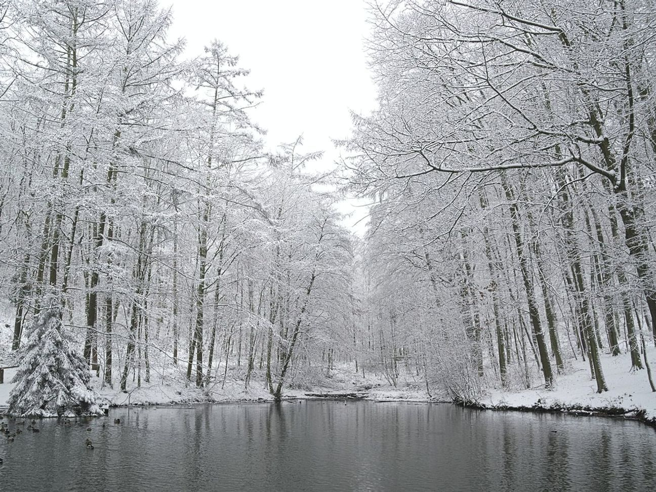 Spessore del ghiaccio misurato all'alba